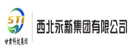 西北永新集团